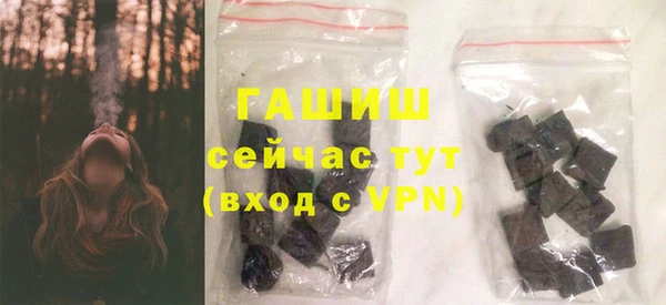 прущий лед Бородино