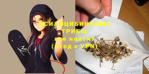 прущий лед Бородино