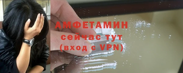 прущий лед Бородино
