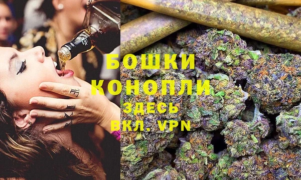 прущий лед Бородино