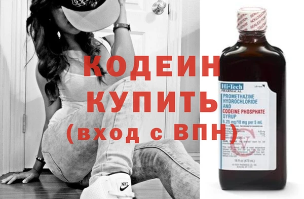 прущий лед Бородино